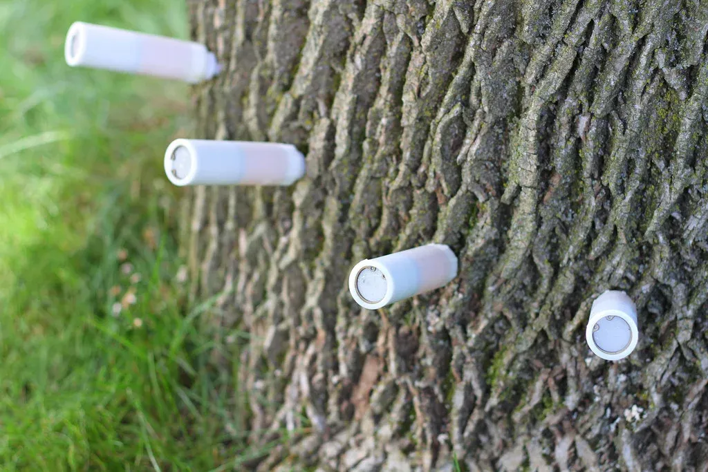 TreeAzin organic trunk injection product used for Emerald Ash Borer treatment